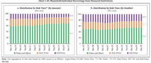 Individual Borrowings from Financial Institutions